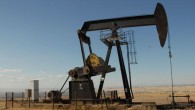 OPEC: Petrolde krizi önlemek için uygun zamanda hareket ettik