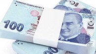 Türkiye Kalkınma ve Yatırım Bankası sermayesini bedelli %25 artıracak