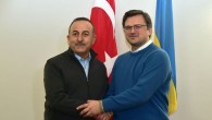 Çavuşoğlu, Ukraynalı mevkidaşı ile tahıl koridorunu görüştü