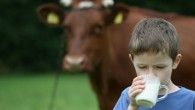 Süt üretimi yüzde 6,1 azaldı