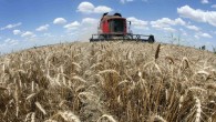 Tarım bakanlarından “küresel gıda güvenliği” çağrısı