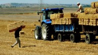Tarım-ÜFE Mayıs’ta aylık yüzde 2,14 arttı