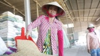 Fitch: Küresel pirinç fiyatları daha fazla yükselebilir