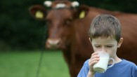 TÜSEDAD: Et ve süt fiyatının ithalat ile baskılanması sürdürülebilir değil