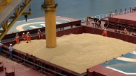 Zelenskiy’den tahıl ihracatı kısıtlamalarına tepki