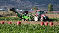 Türkiye’nin Sudan’daki tarım şirketi tasfiye ediliyor