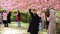 İstanbul Baltalimanı’ndaki Japon Bahçesi ziyaretçilerini hayran bırakıyor