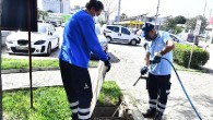 İzmir Büyükşehir Belediyesi ilaçlama çalışmalarına hız verdi