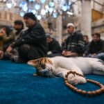 2025-ramazana-ozel-cuma-bildirileri-en-guzelanlamli-ve-farkli-cuma-iletisi-secenekleri-0-4jeKcdqY.jpg