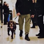 ankara-emniyetinin-emektar-narkotik-kopegi-toma-11-yil-sonra-emekli-oldu-2-bXAf7q5w.jpg