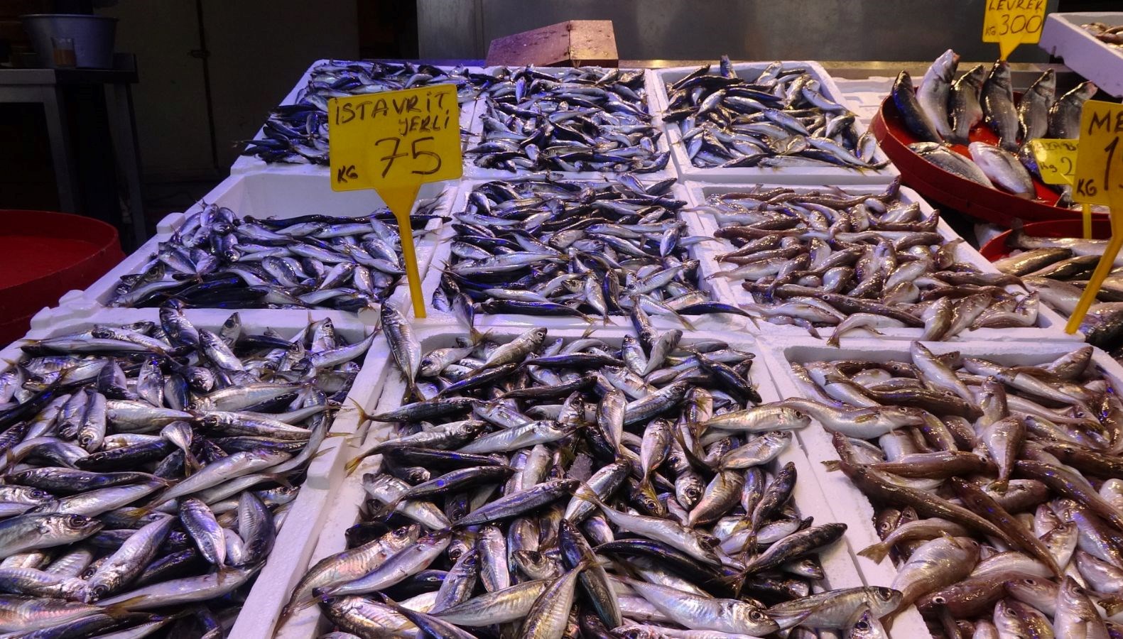 Balık dönemi sona eriyor