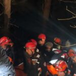 dort-gundur-araniyordu-mimar-ece-gurel-belgrad-ormaninda-bu-turlu-bulundu-4-q1SF43EO.jpg