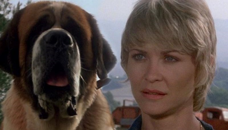 Stephen King imzalı Cujo yine çekiliyor