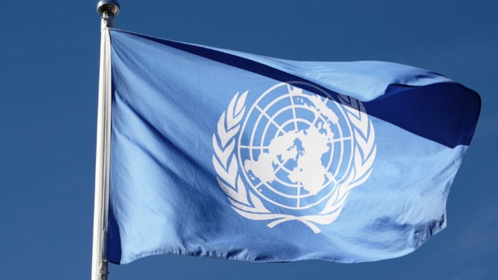 BM: Ukraynalı siyasetçilerin ayrımcı ve nefret söylemi endişe verici boyutta