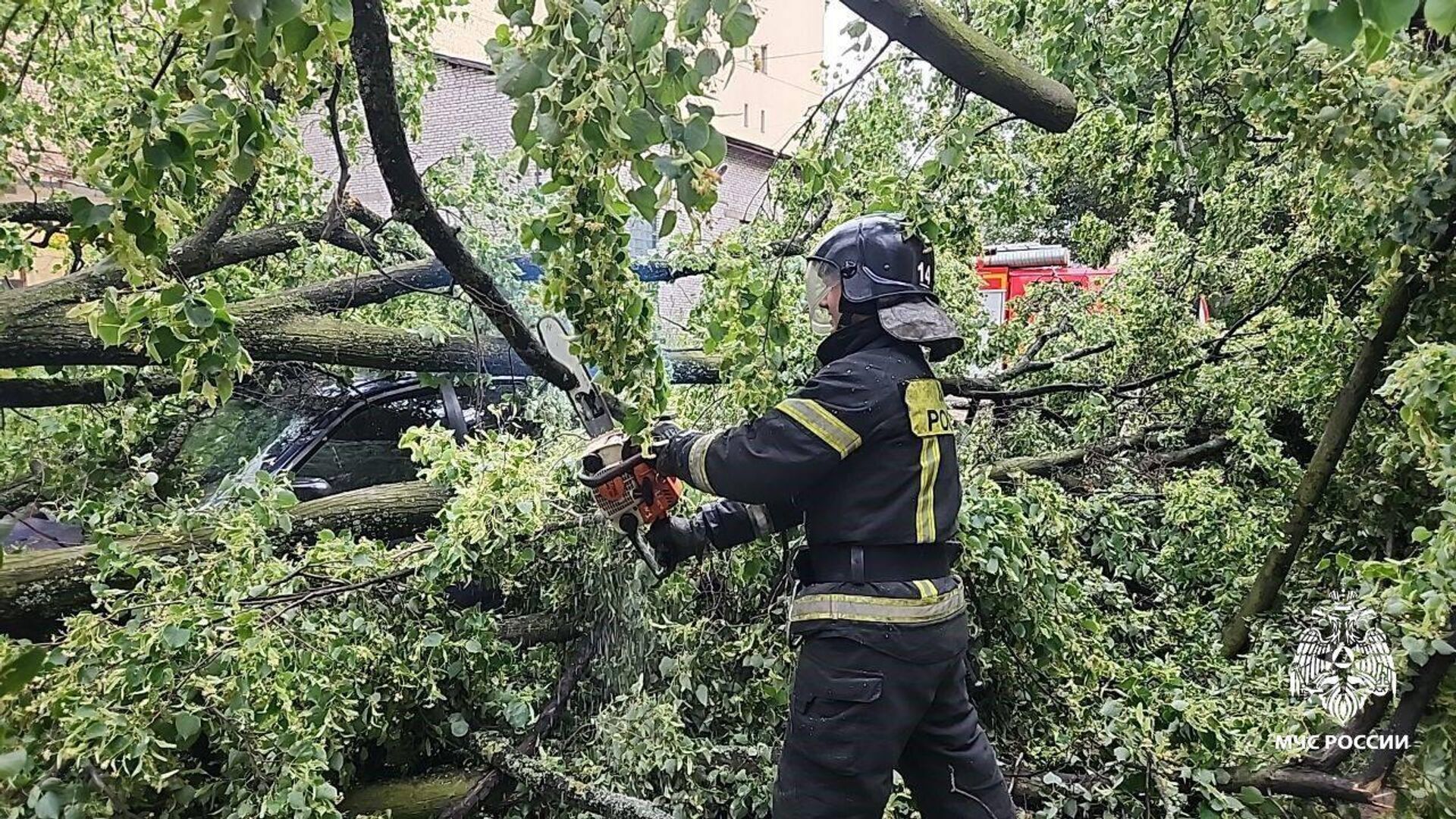 İrkutsk bölgesinde 100 binden fazla ev kasırga nedeniyle elektriksiz kaldı