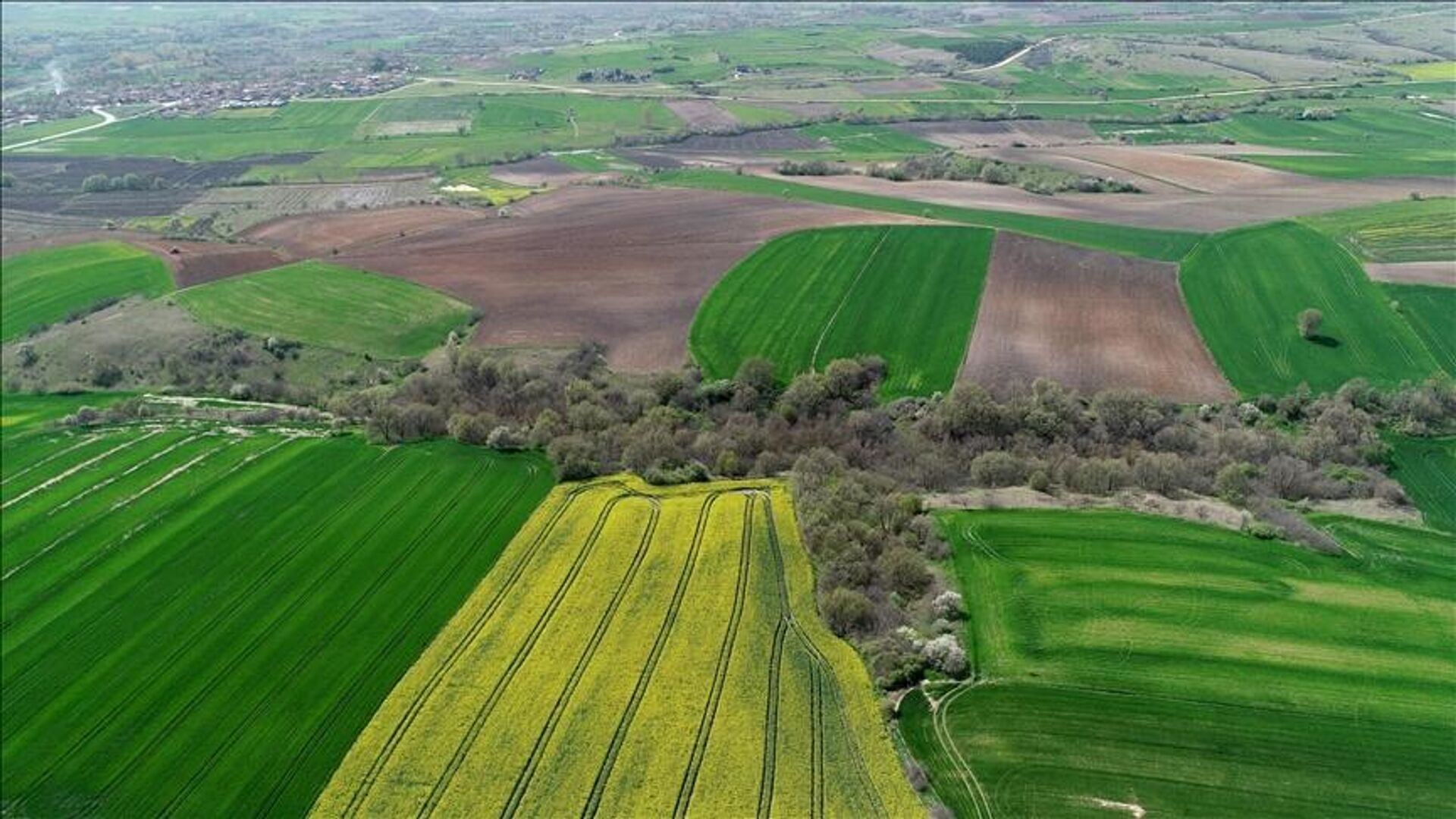 2B arazileri düzenlemesinde 3 ay detayı