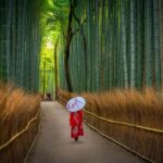 japonyanin-doga-harikasi-arasiyama-bambu-ormani-0-8pLpbdKJ.jpg