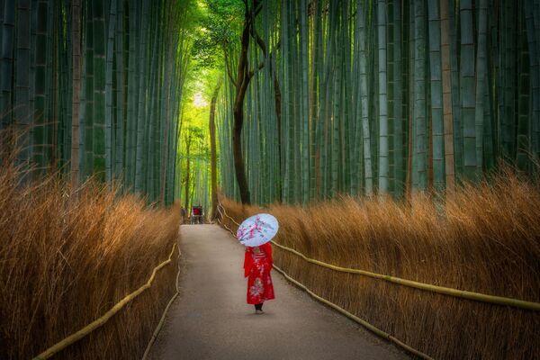 japonyanin-doga-harikasi-arasiyama-bambu-ormani-fRRuTKF4.jpg