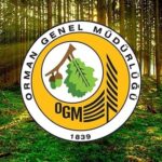 ogm-3477-personel-alimi-sonuclari-sorgulama-ekrani-2025-ogm-sofor-ve-temizlik-personeli-alimi-3qSKnVHf.jpg