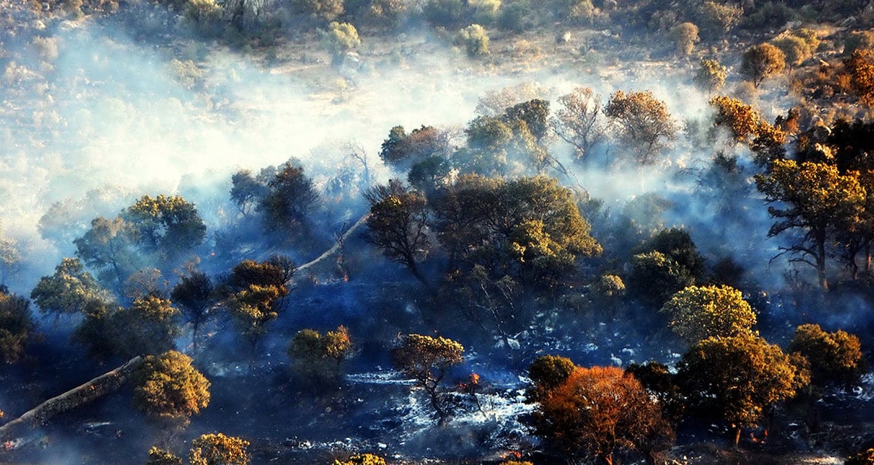 Aydın ve Muğla’da art arda yangınlar