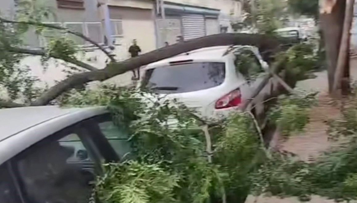 Gaziantep’te fırtına: Ağaçlar araçların üzerine devrildi