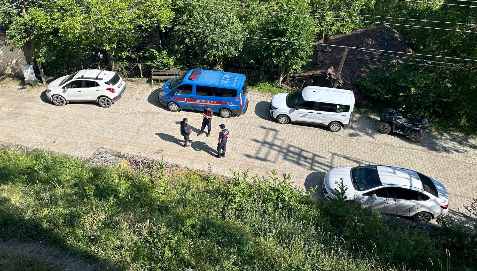 Karabük’teki köpek ölümleriyle ilgili inceleme başlatıldı