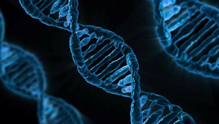 37 bin yıllık DNA analizi: Antik insanlar hastalıkları hayvanlardan mı aldı?