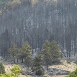 5-ilde-orman-yangini-mudahaleler-suruyor-1-cNlByvpG.jpg