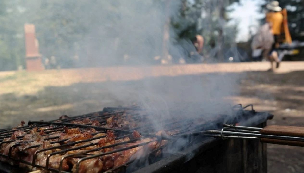 Ankara’da mangal yasağı
