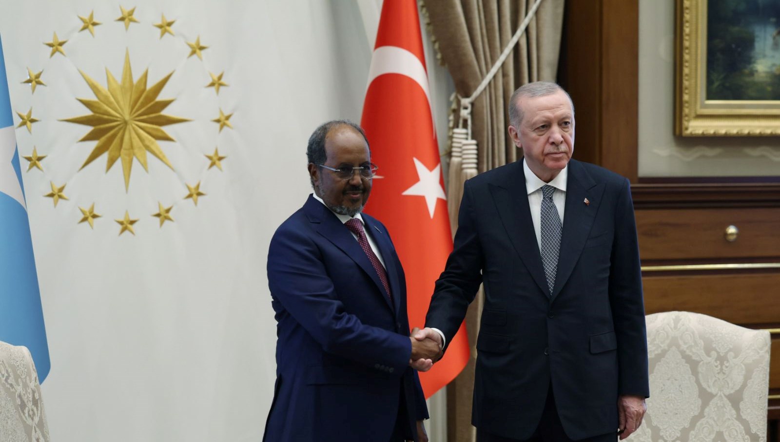 Cumhurbaşkanı Erdoğan’ın Somalili mevkidaşı Mahmud ile görüştü