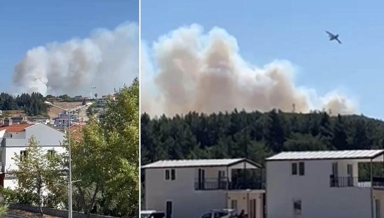 İzmir Urla ve Edirne Keşan’da orman yangını