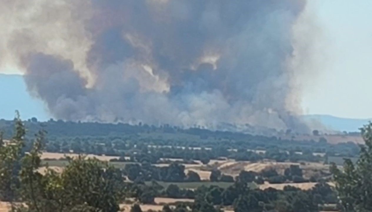 Komşudaki orman yangını Edirne’yi dumana boğdu