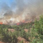 orman-yanginlari-son-dakika-bursa-usak-karabuk-antalya-kahramanmaras-bingol-yanginlari-kontrol-altina-alindi-GIfUs5WK.jpg