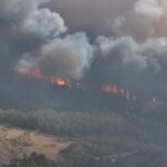 orman-yanginlarinda-son-durum-yanginlarla-ilgili-3-kisi-daha-tutuklandi-3-mIF58PDX.jpg