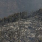 orman-yanginlarinda-son-durum-yanginlarla-ilgili-3-kisi-daha-tutuklandi-38-bPJvZ4Vm.jpg