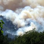 orman-yanginlarinda-son-durum-yanginlarla-ilgili-3-kisi-daha-tutuklandi-40-nNfpzTfC.jpg