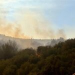 orman-yanginlarinda-son-durum-yanginlarla-ilgili-3-kisi-daha-tutuklandi-46-uddDSZ7q.jpg