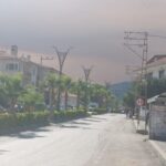 sakarya-bilecik-orman-yangininda-son-durum-alevler-hortum-olusturdu-duman-eskisehire-ulasti-6-WjVcqCQS.jpg