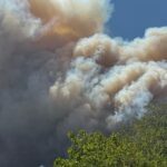 sakaryadaki-orman-yangininda-son-durum-6-mahalle-tahliye-edildi-kara-yolu-kapatildi-g7DK6PVi.jpg