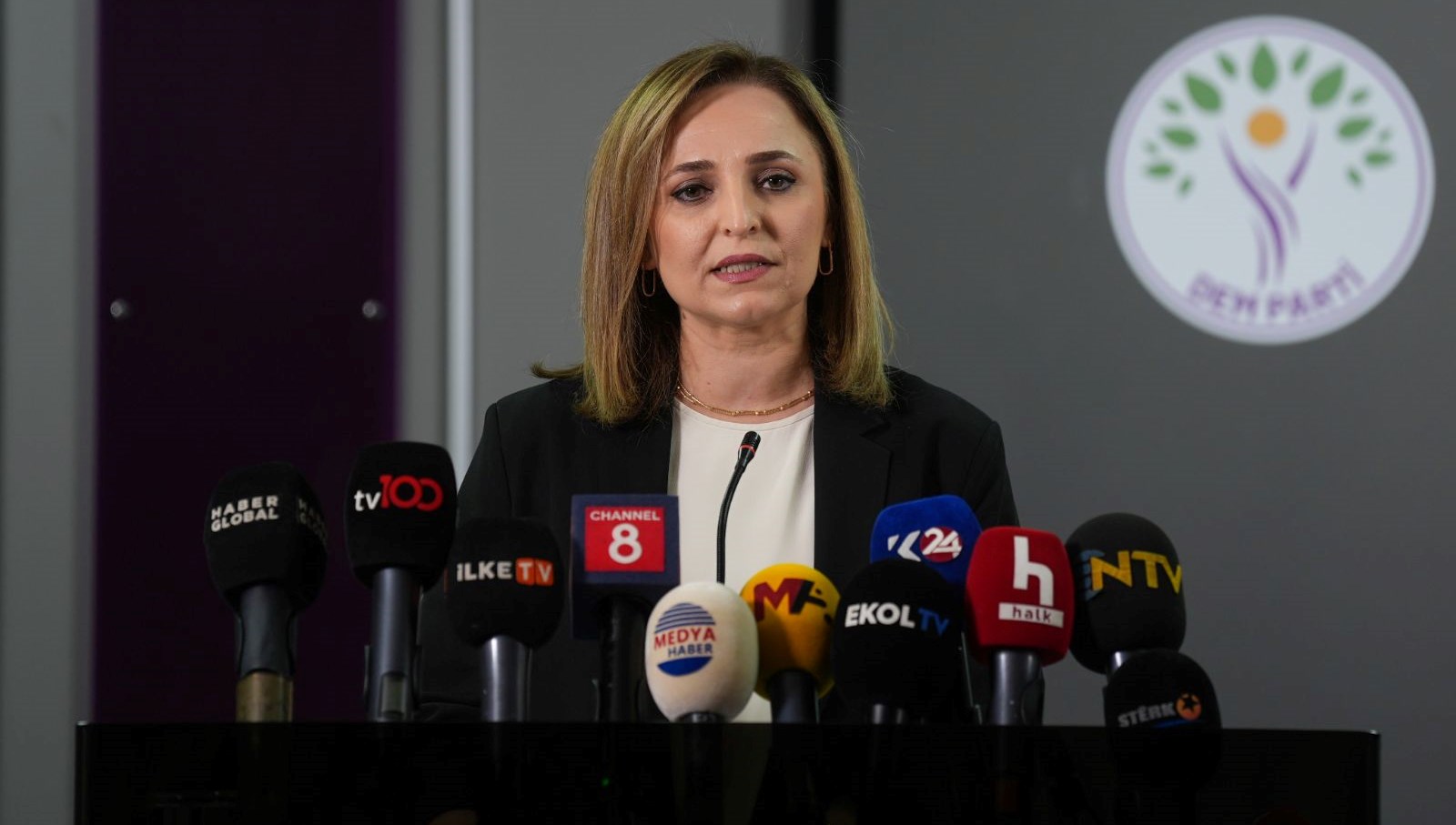 Silah bırakma için sayım: DEM Parti tarih verdi