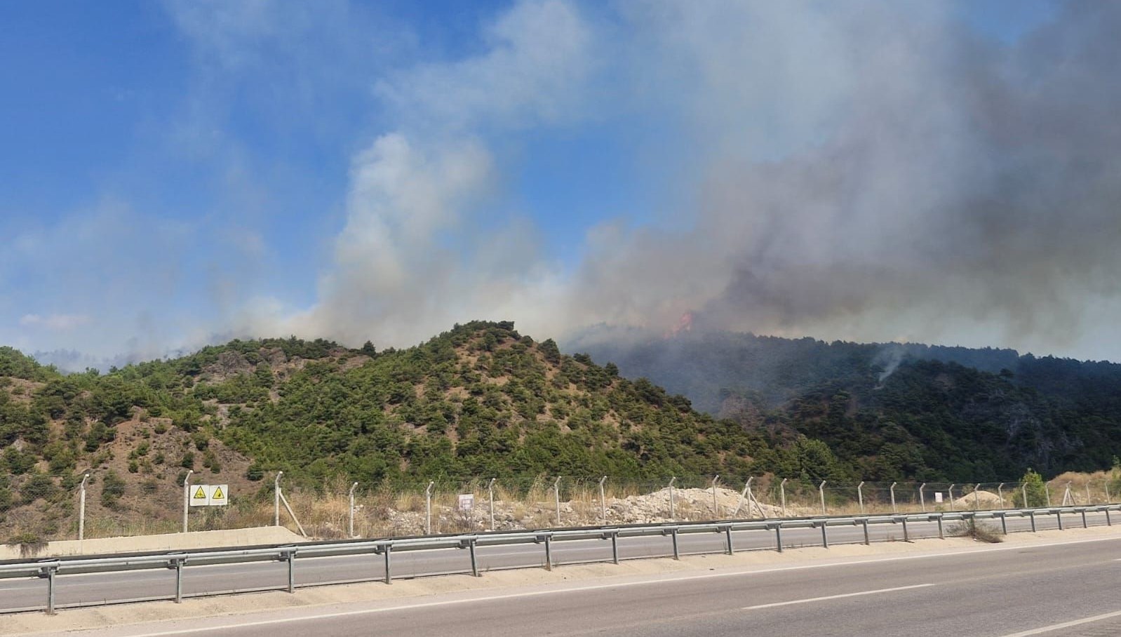 Tokat’ta orman yangını: 1 şüpheli gözaltında