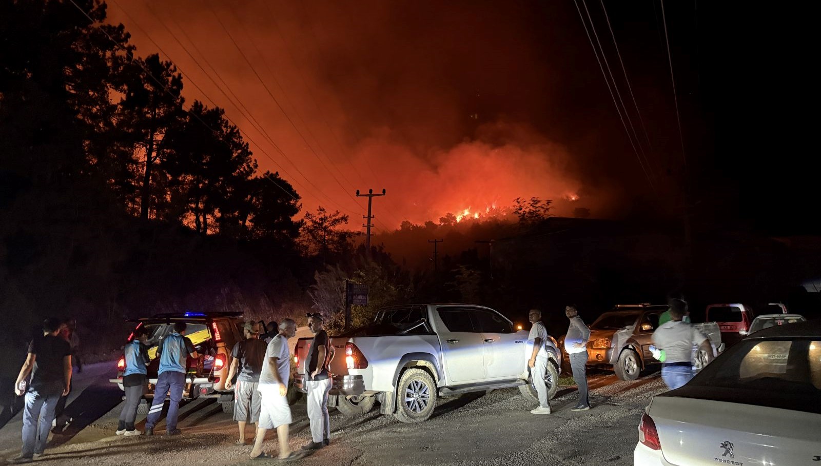 Antalya Alanya’da orman yangını: Çok sayıda ekip sevk edildi
