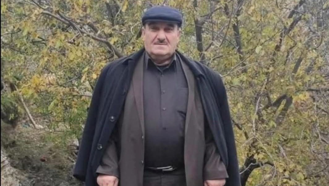 Eski muhtarın talihsiz sonu: Ceviz silkelerken ağaçtan düştü