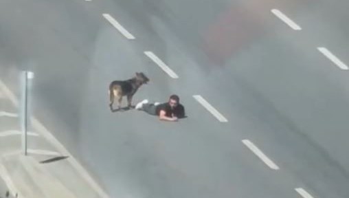Yolun ortasında sürünerek ilerledi