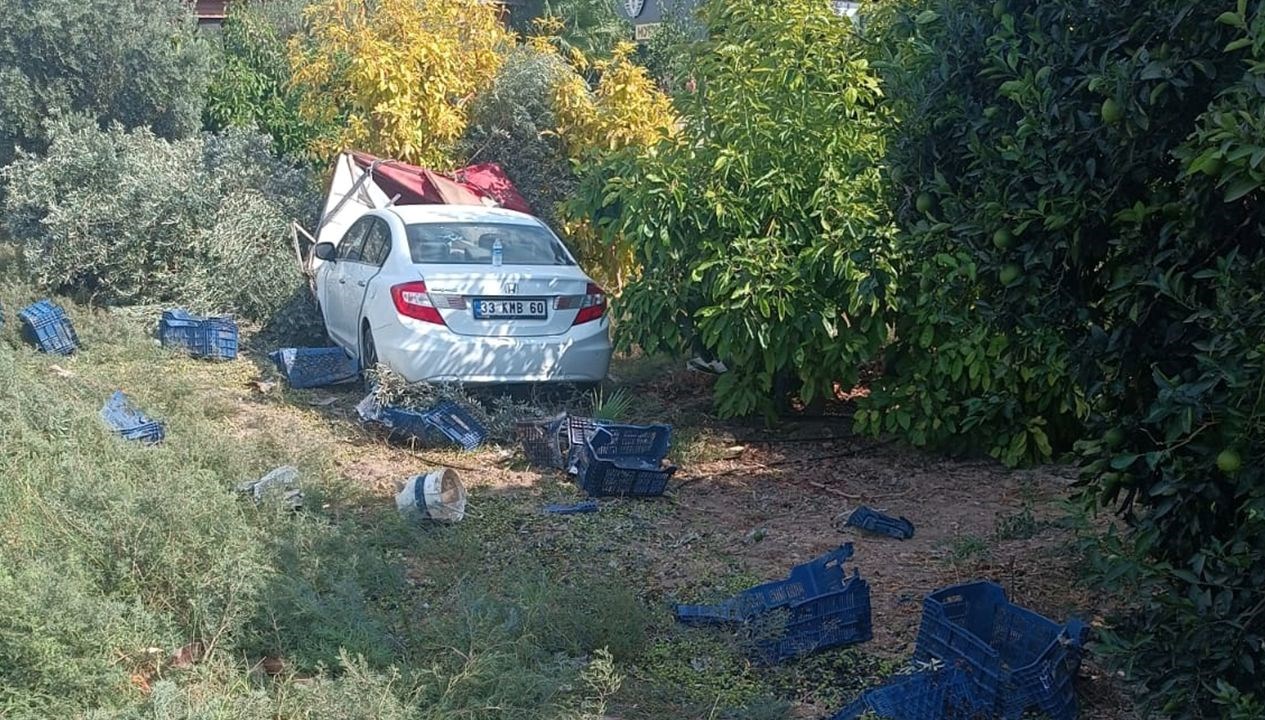 Zeytin toplayan işçilere çarptı: Ölü sayısı yükseldi