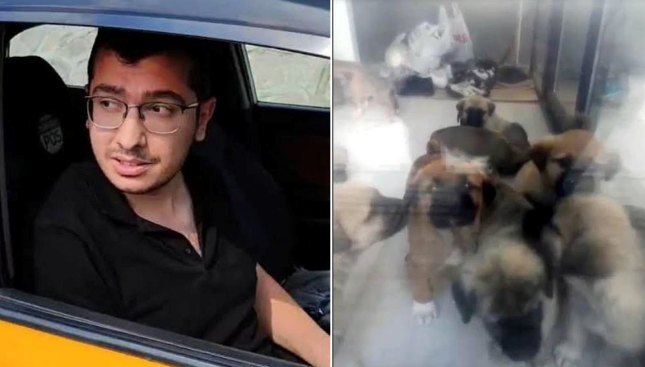Sahiplendiği köpekleri katleden doktora 9 yıl 9 ay hapis cezası