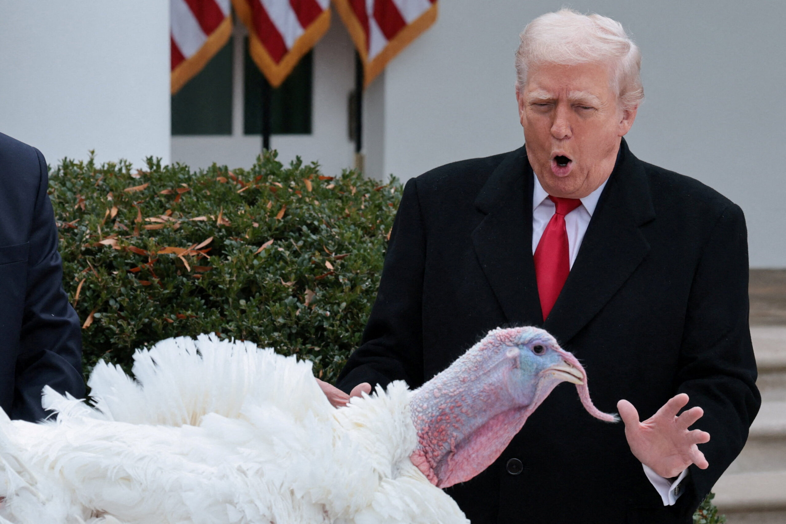 ABD Başkanı Trump iki hindiyi affetti