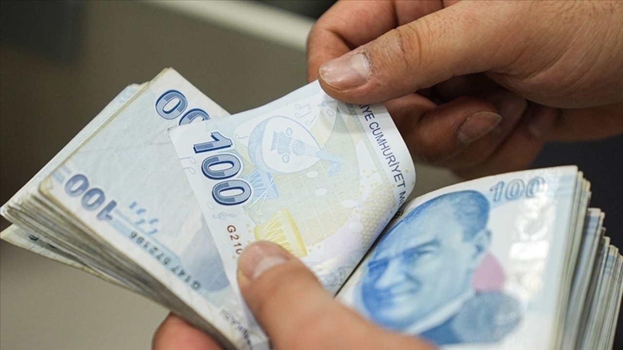 Kasım ayı yaşlı ve engelli aylığı ödemesi sorgulama 2025: Yaşlı ve engelli aylığı yattı mı?