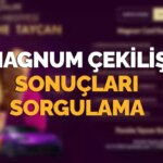 magnum-porsche-cekilis-sonuclari-2025-magnum-card-ve-araba-cekilis-sonuclari-aciklandi-mi-nasil-1ihChZzi.jpg