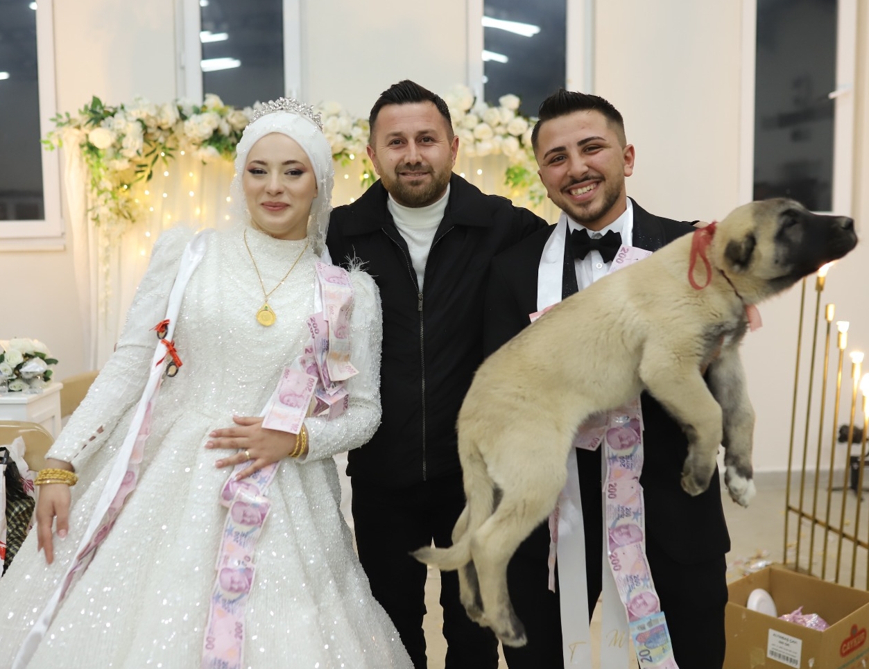 Düğünde gelin ve damada takı yerine çoban köpeği hediye edildi